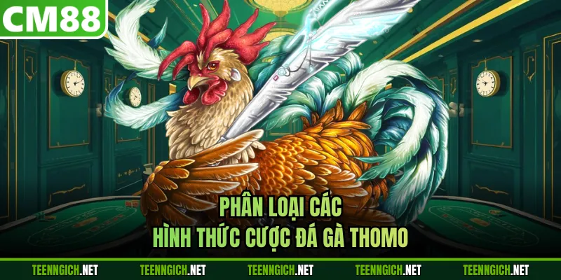 Phân loại các hình thức cược đá gà Thomo