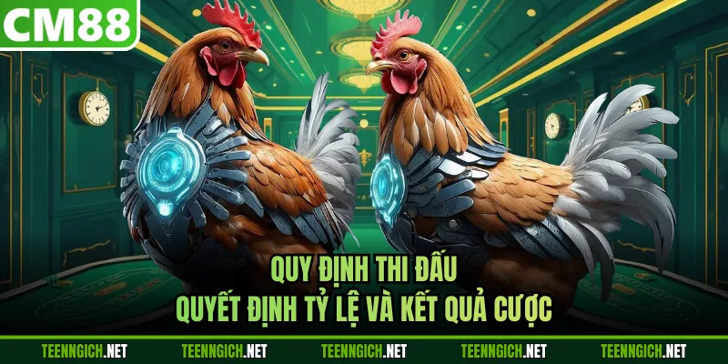 Quy định thi đấu quyết định tỷ lệ và kết quả cược